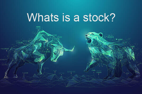 what is a stock